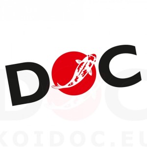 KoiDoc_RGB_Logo-Quadrat-kleinmitWZ